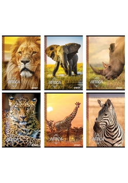 Zeszyt A5 w linie 54 kartki Africa 10 sztuk