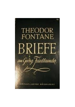 Briefe an Georg Friedlaender