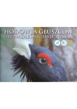 Hodowla Głuszczów w Nadleśnictwie Wisły