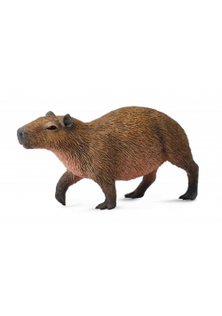 Kapibara gryzoń