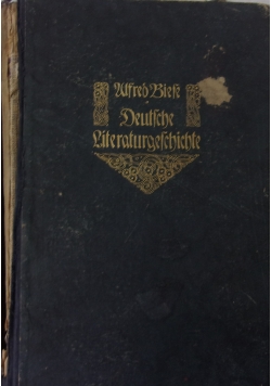 Deutsche Literaturgeschichte, 1920 r.