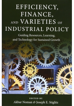 Efficiency Finance and Varieties of Industrial Policy