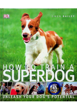 How To Train a Superdog