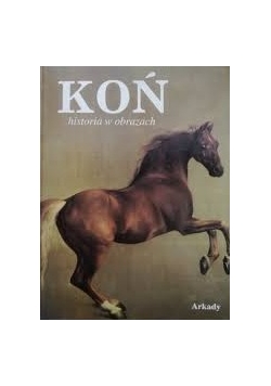 Koń historia w obrazach