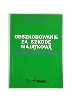 Odszkodowanie za szkodę majątkową