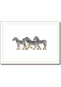 Karnety mini Zebra (14szt)