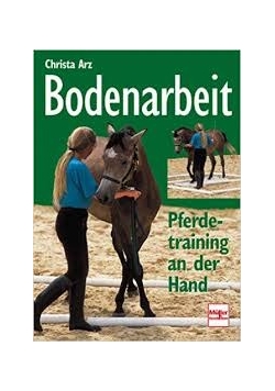 Bodenarbeit Pferdetraining an der Hand