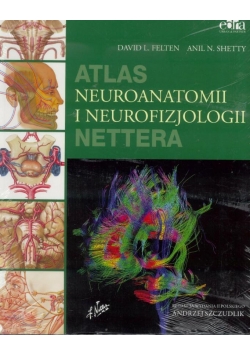 Atlas neuroanatomii i neurofizjologii Nettera w.II