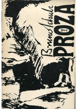Schulz Proza