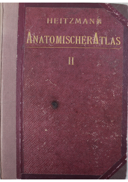 Atlas der deskriptiven anatomie des meschen 1905 r.