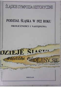 Podział Śląska w 1992 roku