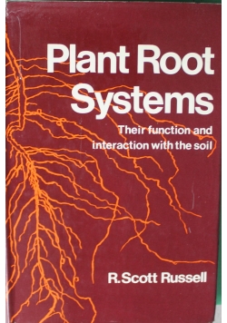Plant root systems  their function and interaction with the soil