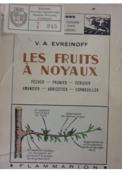 Les Fruits a Noyaux,1938r.