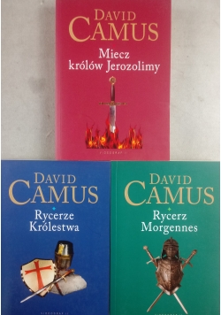 Miecz królów Jerozolimy  Rycerze Królestwa   Rycerz Morgennes