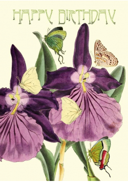 Karnet B6 brokat z kopertą Urodziny Orchidea