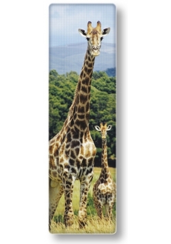 Zakładka 3D National Geographic Żyrafa