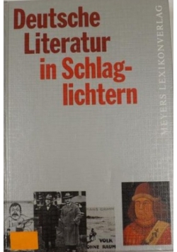 Deutsche Literatur in Schlaglichtern