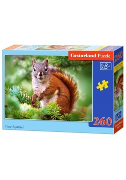 Puzzle 260 Pine Squirrel CASTOR