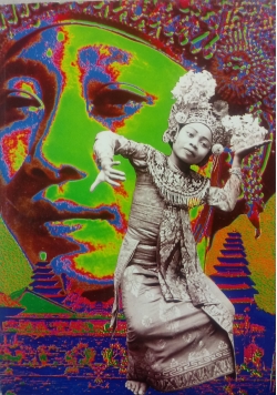 Steyler Missions. Chronik 1971