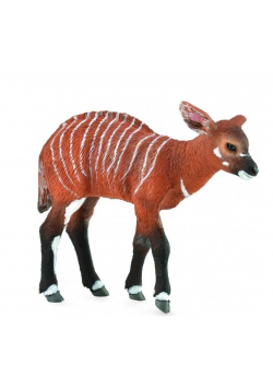 Krowa Bongo