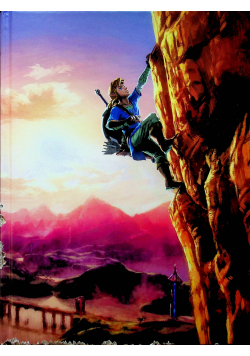 The complete official guide collectors edition