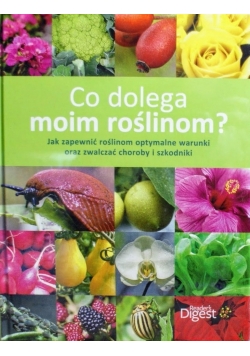 Co dolega moim roślinom