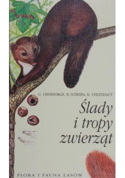 Ślady i tropy zwierząt