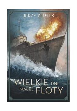 Wielkie dni małej floty