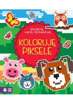 Koloruję, łączę, rozwiązuję. Koloruję piksele