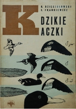 Dzikie kaczki