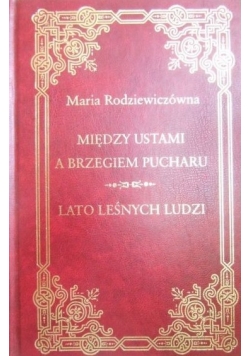 Kariera Nikodema Dyzmy