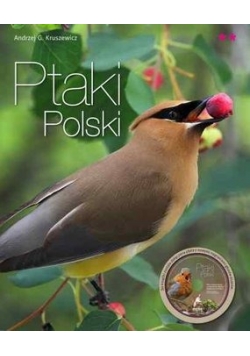 Ptaki polski