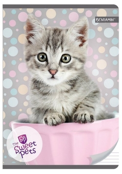 Zeszyt A5 w trzy linie 16 kartek Kot The Sweet Pets 10 sztuk mix