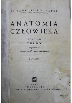 Anatomia człowieka