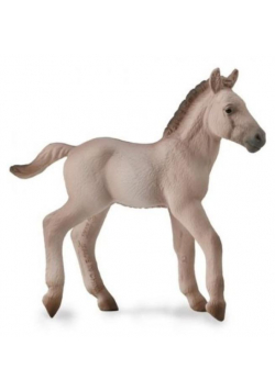 Konik Foal - Blue Dun