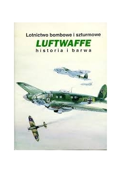 Luftwaffe historia i barwa
