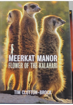 Meerkat Manor Flower of the Kalahari