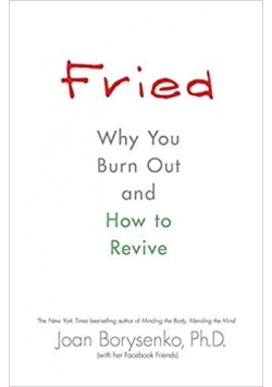 Fried. Why You Burn Out and How to Revive