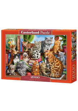 Puzzle 2000 House of Cats