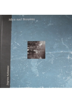 Młyn nad Brzuśnią