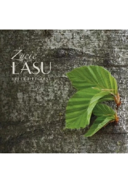 Życie lasu