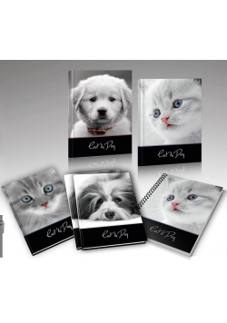 Zeszyt A5/16K kratka Cat&Dog (20szt)