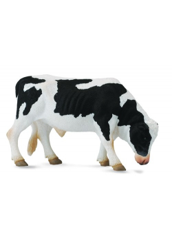 Byk Friesian