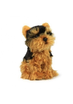 Yorkshire Terrier 18cm ACP