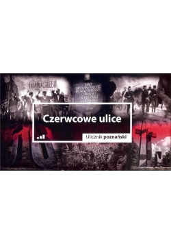 Czerwcowe ulice Ulicznik poznański / Druga strona Poznania