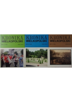 Kronika Wielkopolski zestaw 3 książek