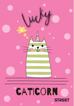 Notes My Cat Street A6 40 kartek /10szt