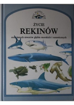 Życie rekinów  oraz innych stworów głębin morskich i oceanicznych