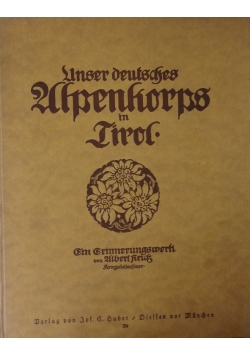 Unser deutsches Alpenkorps in Tirol