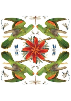 Karnet kwadrat z kopertą Red-winged Parrot
